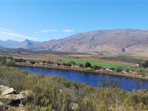 313 ha Farm in Barrydale