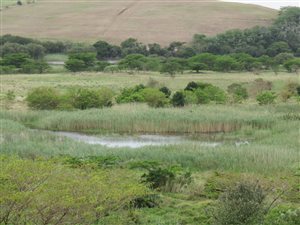 1437 m² Land available in Mtunzini