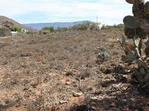 1232 m² Land available in Willowmore