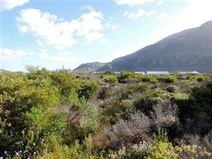 800 m² Land available in Bettys Bay