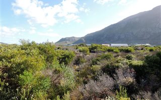 800 m² Land available in Bettys Bay