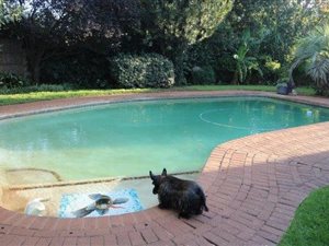 4 Bed House in Vanderbijlpark SE2