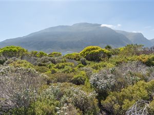 630 m² Land available in Bettys Bay