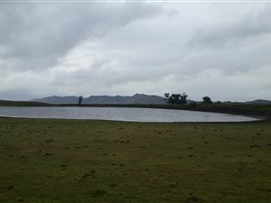 374.5 ha Farm in Wepener