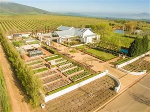 156 ha Farm in Durbanville