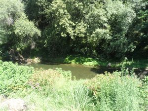 26.3 ha Farm in Sterkfontein and surrounds