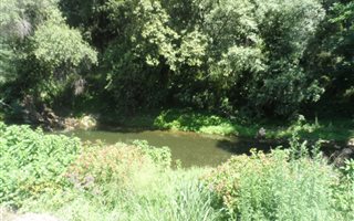 26.3 ha Farm in Sterkfontein and surrounds