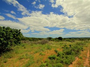 22.1 ha Smallholding in Hluhluwe