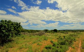 22.1 ha Smallholding in Hluhluwe