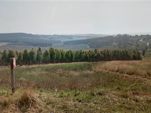 2241 m² Land available in Mountain Homes
