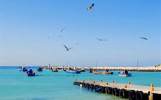 1293 m² Land available in Struisbaai