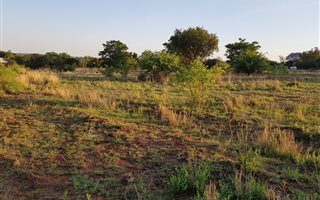 Smallholding in Gerhardsville