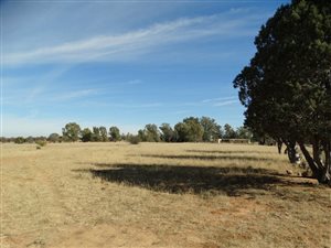 4.3 ha Farm in Bloemspruit