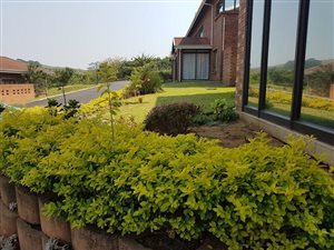 3 Bed Simplex in Freeland Park