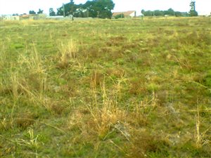 1983 m² Land available in Jameson Park