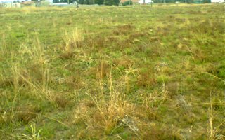 1983 m² Land available in Jameson Park