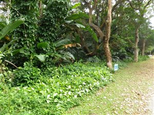 1517 m² Land available in Munster