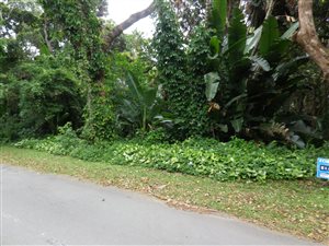 1517 m² Land available in Munster