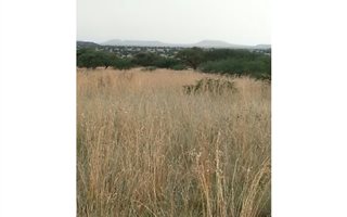 860 ha Farm in Kimberley