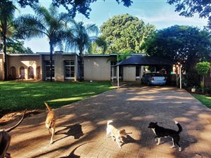 6 Bed House in Mokopane