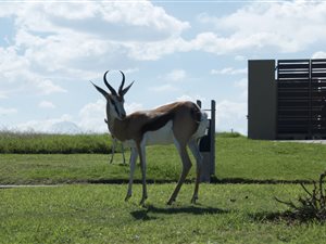 1173 m² Land available in Oubaai and surrounds