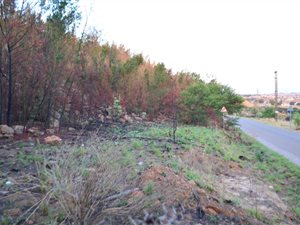 2137 m² Land available in Bronkhorstbaai