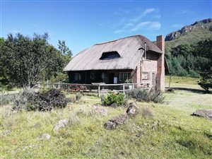 23.2 ha Farm in Kamberg