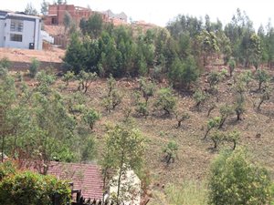 1682 m² Land available in Waterkloof Heights