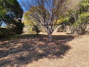 726 m² Land available in Lyttelton Manor