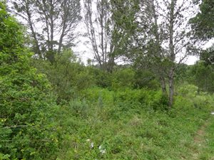 2000 m² Land available in Bathurst and Surrounds