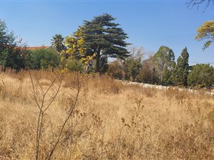 550 m² Land available in Florida Park