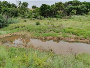 Farm in Bronkhorstspruit