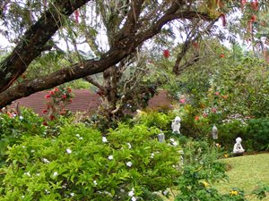 3 Bed House in Banners Rest