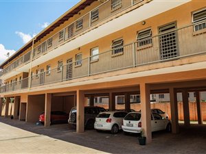 3 Bedroom Apartment in Arcadia