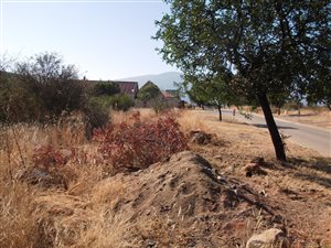 540 m² Land available in Burgersfort