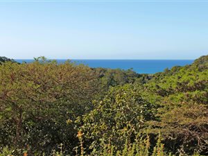 783 m² Land available in Cintsa