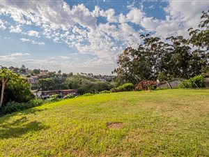 3 Bed House in Park Hill