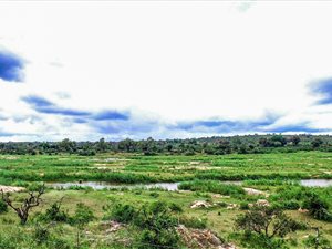 2127 m² Land available in Marloth Park
