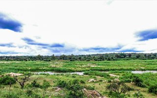 2127 m² Land available in Marloth Park