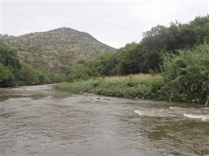 8.6 ha Land available in Lanseria and surrounds