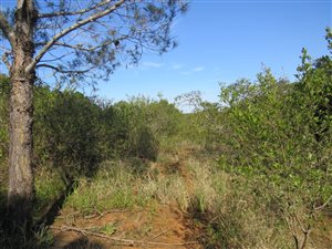 8565 m² Land available in Bathurst and Surrounds