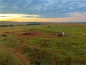 484.3 ha Farm in Middelburg Central