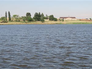 445 ha Farm in Charl Cilliers