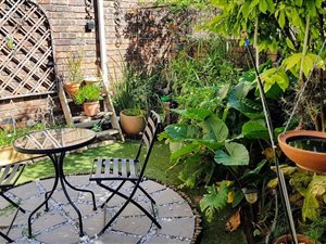 3 Bed Townhouse in Randpark Ridge