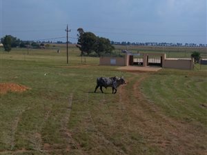 2.1 ha Land available in Meyerton