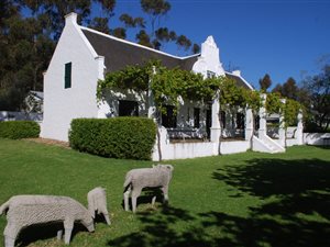 153 ha Farm in Tulbagh