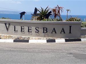 725 m² Land available in Vlees Bay