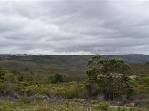 1.2 ha Land available in Groot Brakrivier