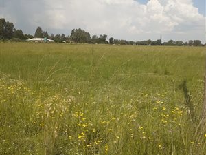 1 ha Land available in Martindale