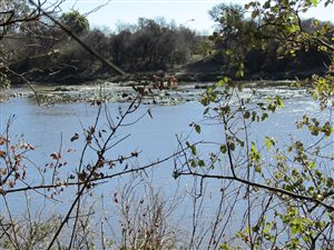 2.2 ha Land available in Bothaville